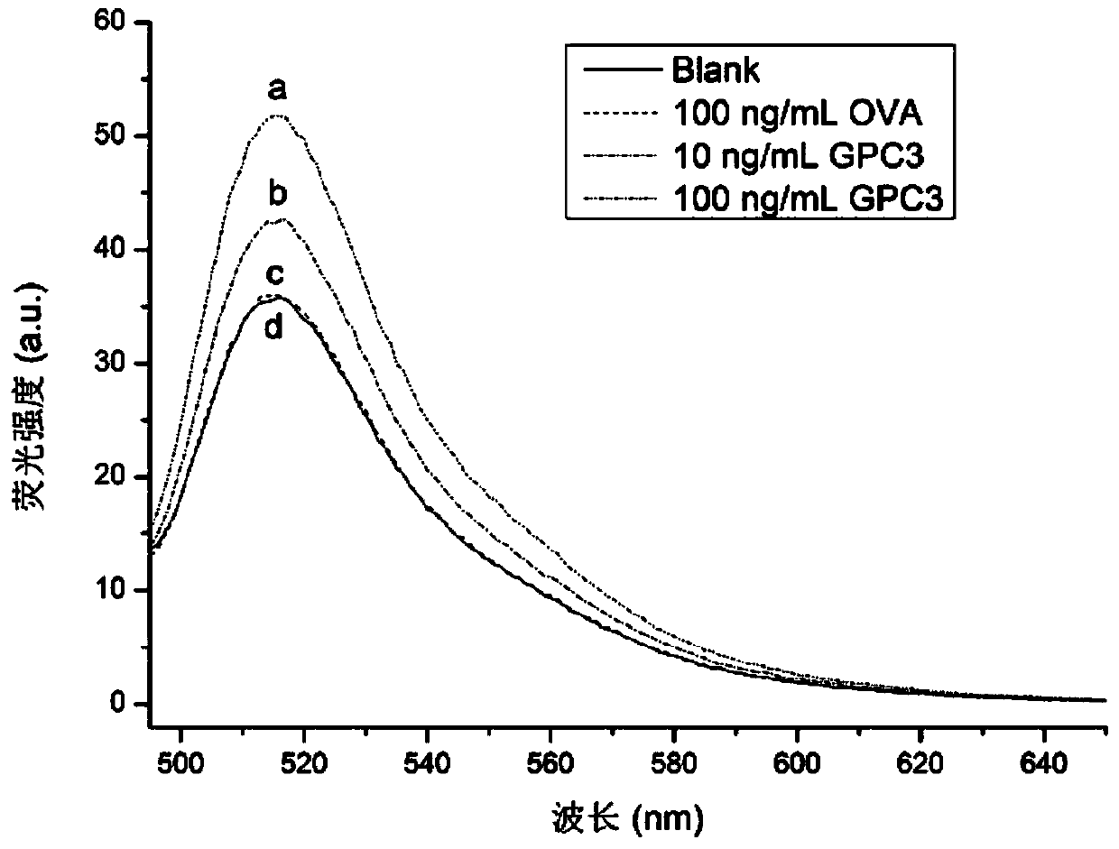 Antibody modified ZnSe nanocrystalline based kit for detection of hepatocellular carcinoma marker GPC3