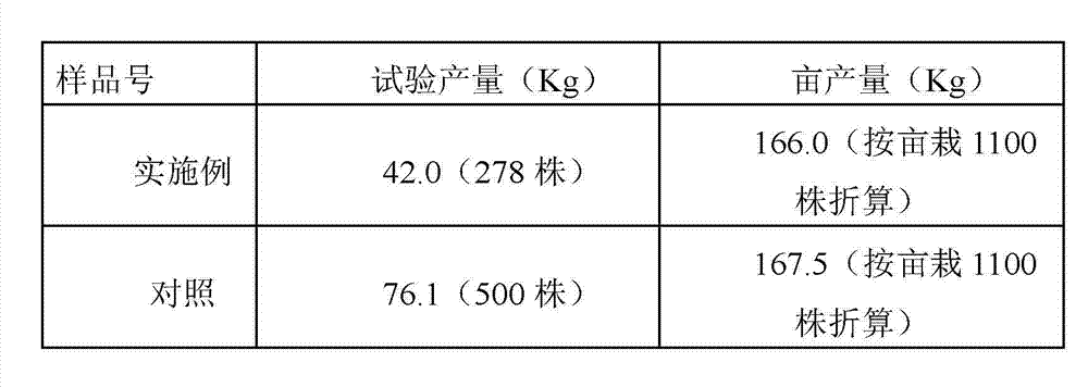 Method for improving suction taste of burley tobacco