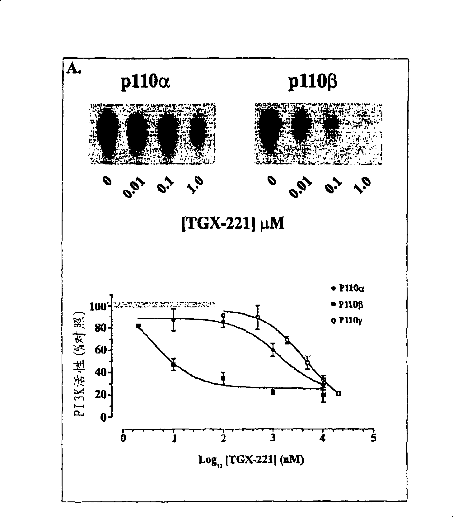 Inhibition of phosphoinositide 3-kinase beta