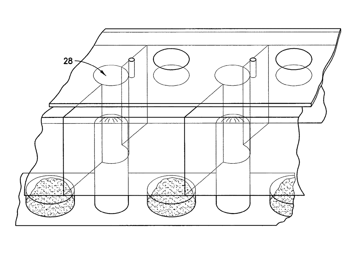 Bacterial detection cartridge