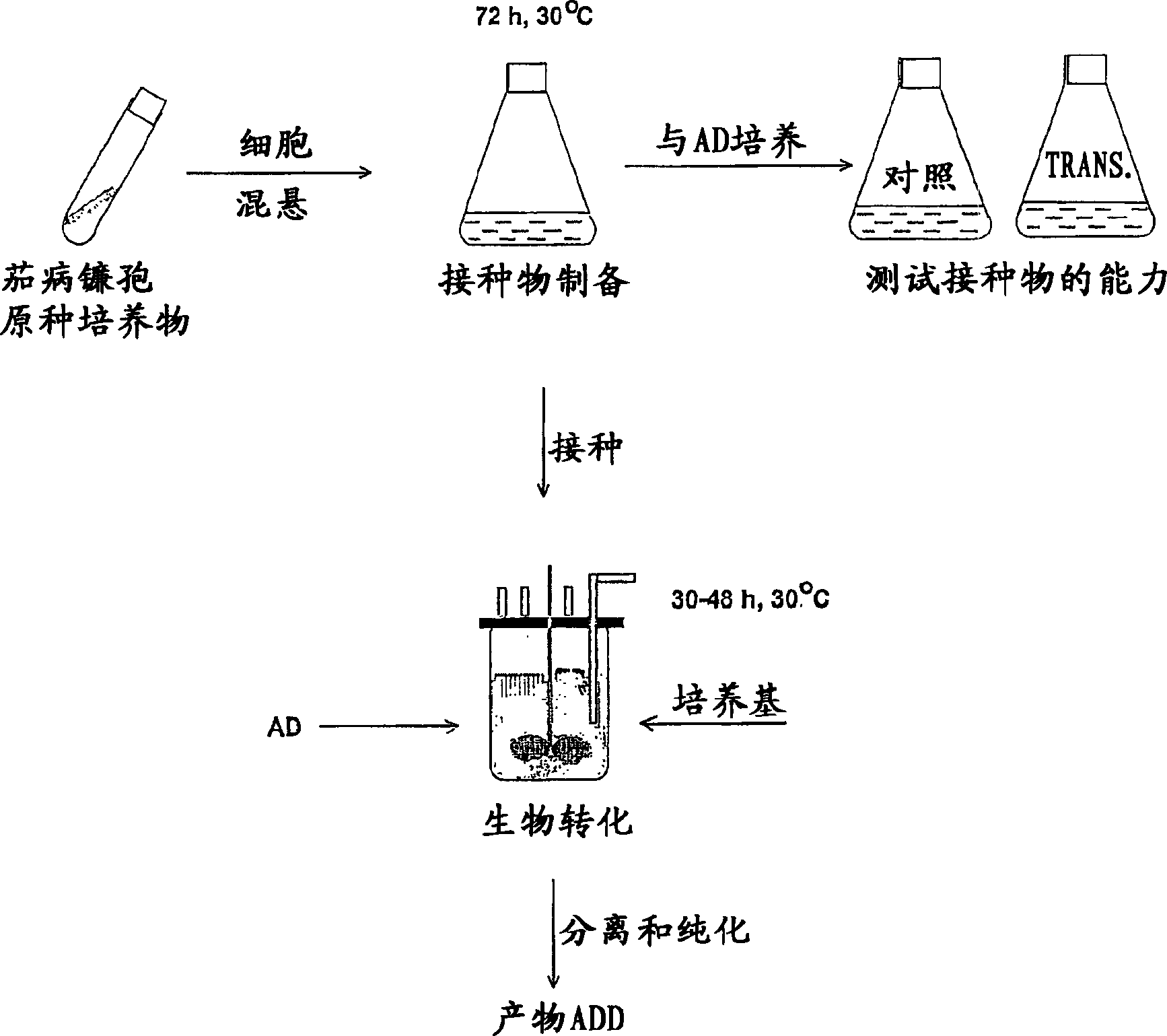 Process for fermentation of phytosterols to androstadienedione