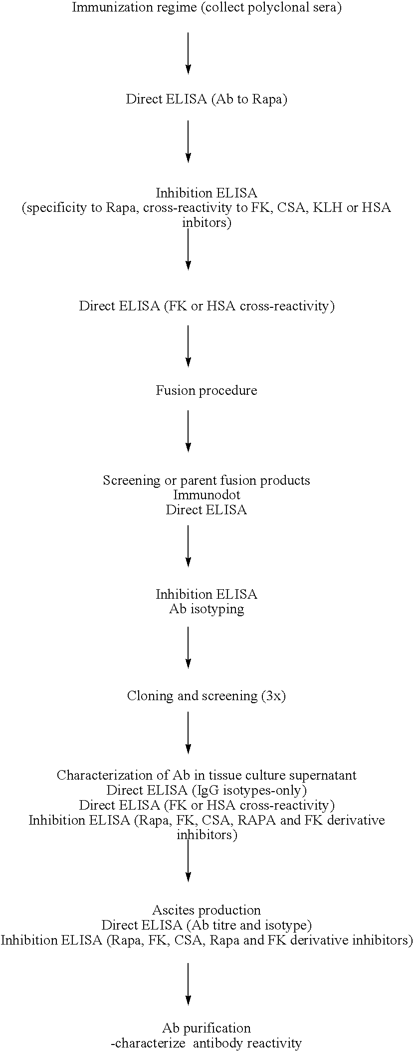 Method for producing rapamycin-specific antibodies