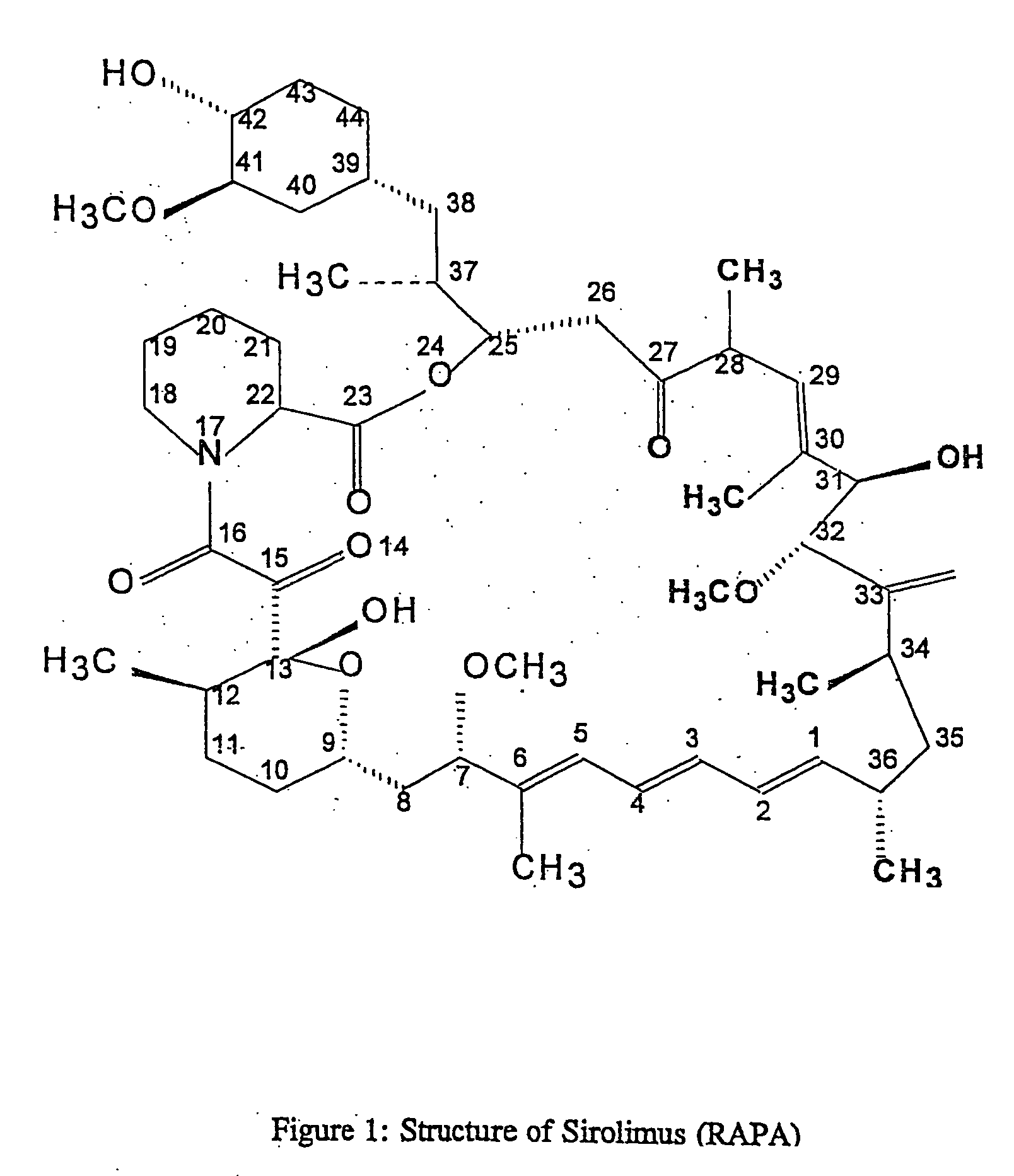 Method for producing rapamycin-specific antibodies