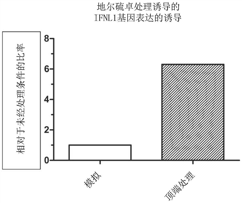 Diltiazem for use in the treatment of microbial infections