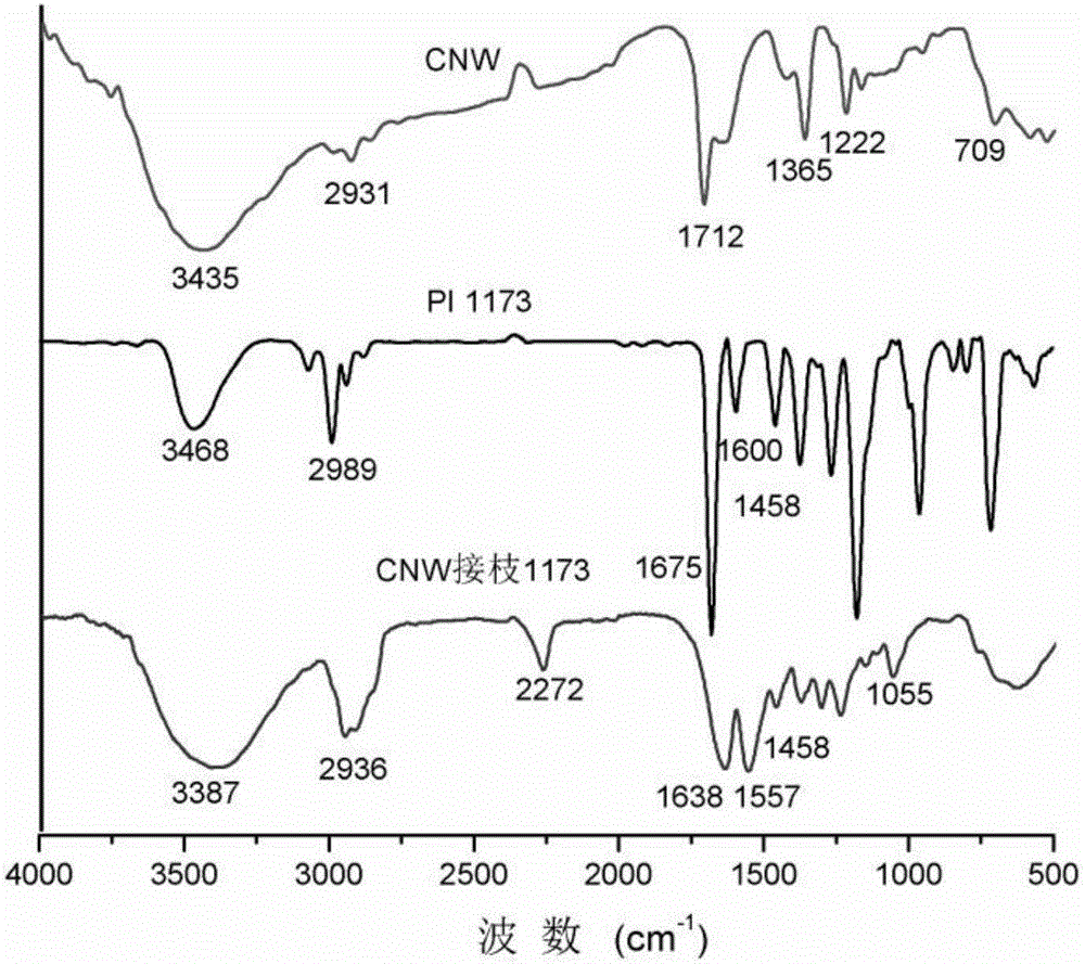 Nanocellulose whisker modified bifunctional photoinitiator and preparation method thereof