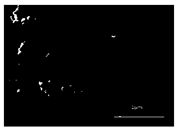 Wear-resistant super-hydrophobic coating layer and preparation method thereof