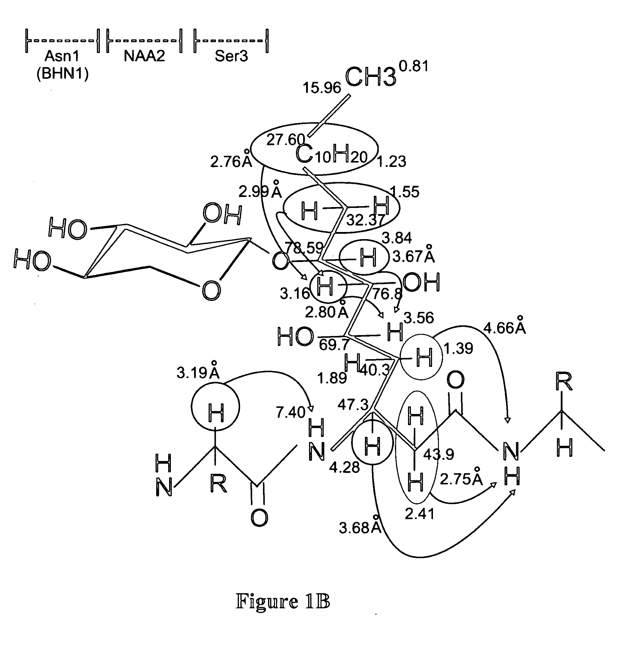 Occidiofungin, a unique antifungal glycopeptide produced by a strain of burkholderia contaminans