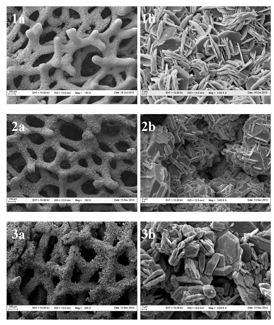 Preparation method and application of CuS catalyst with three-dimensional framework structure