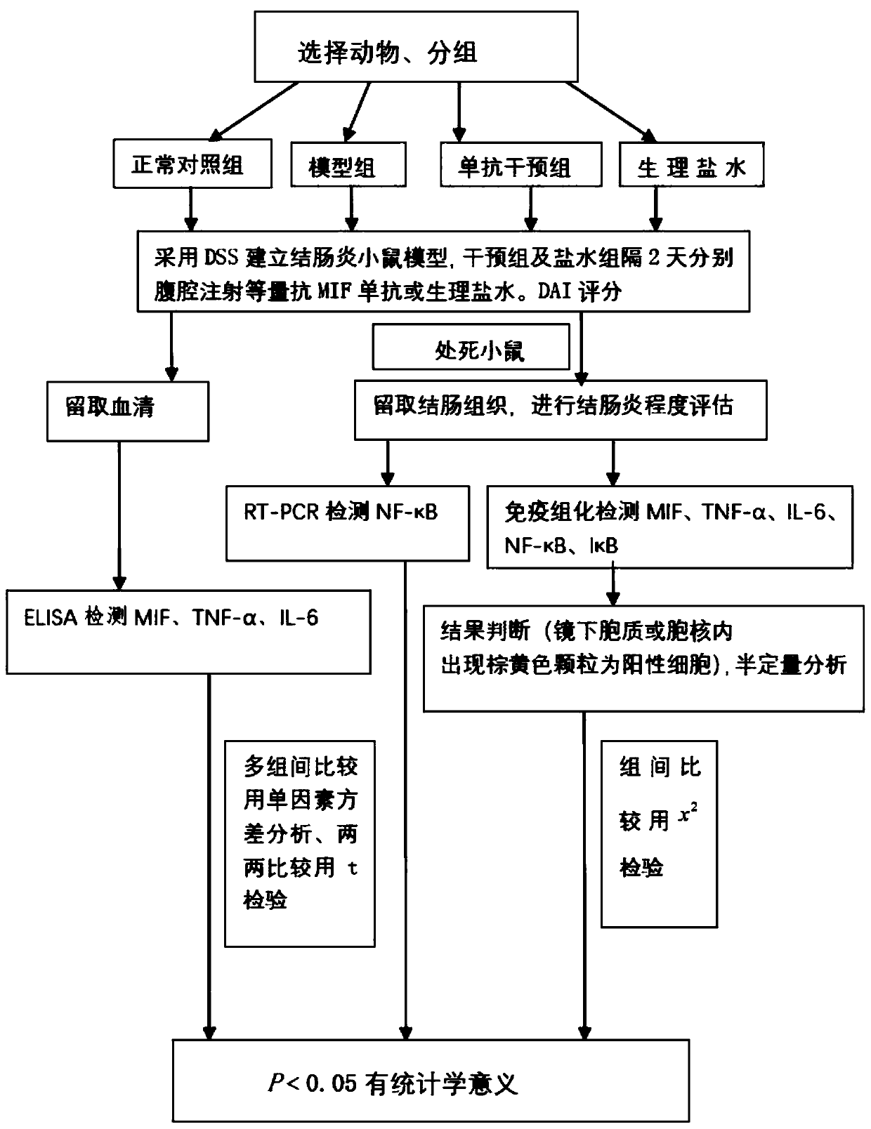 Detection method for treating inflammatory bowel disease through macrophage migration inhibitory factor resistant antibody