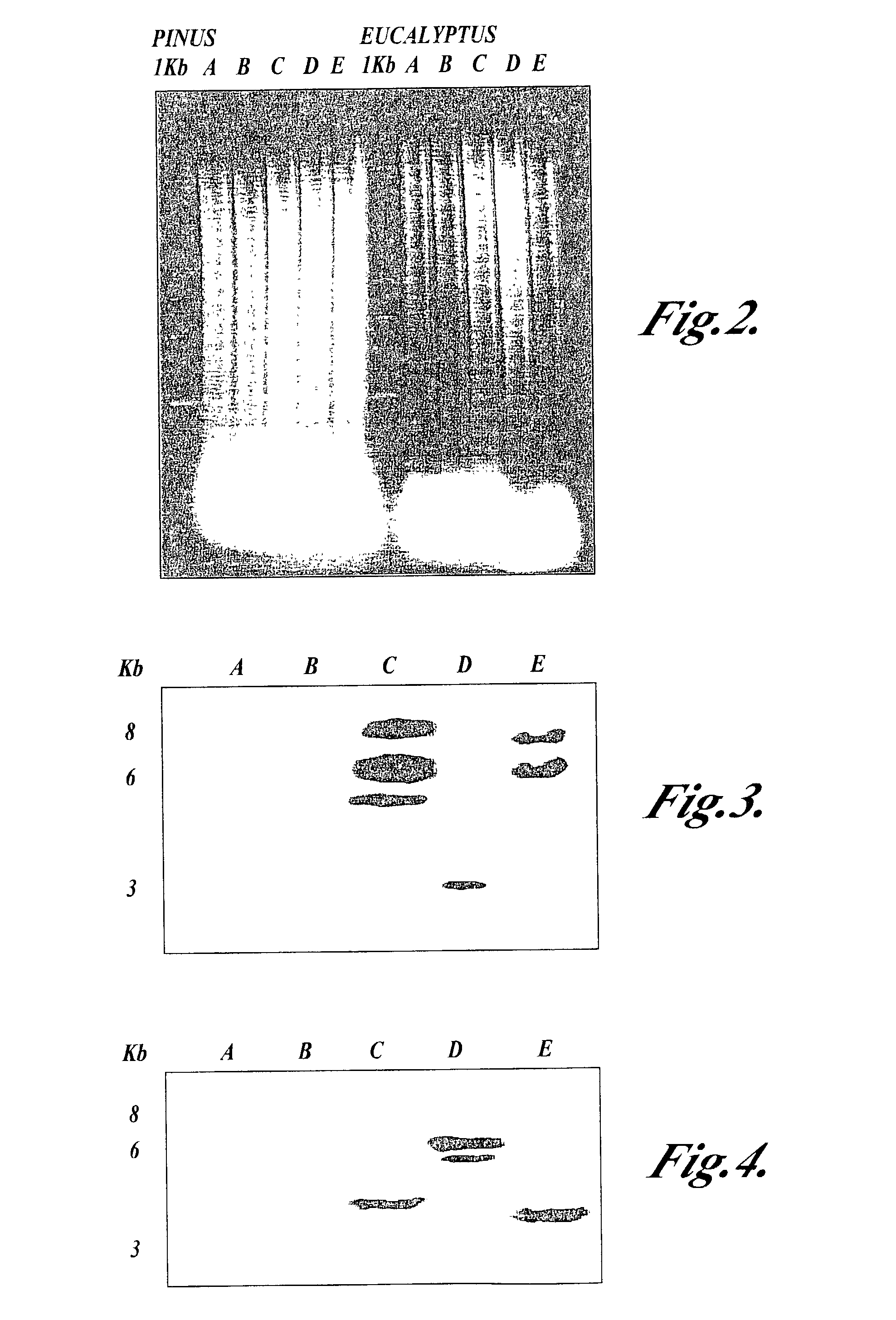 Materials and methods for the modification of plant lignin content