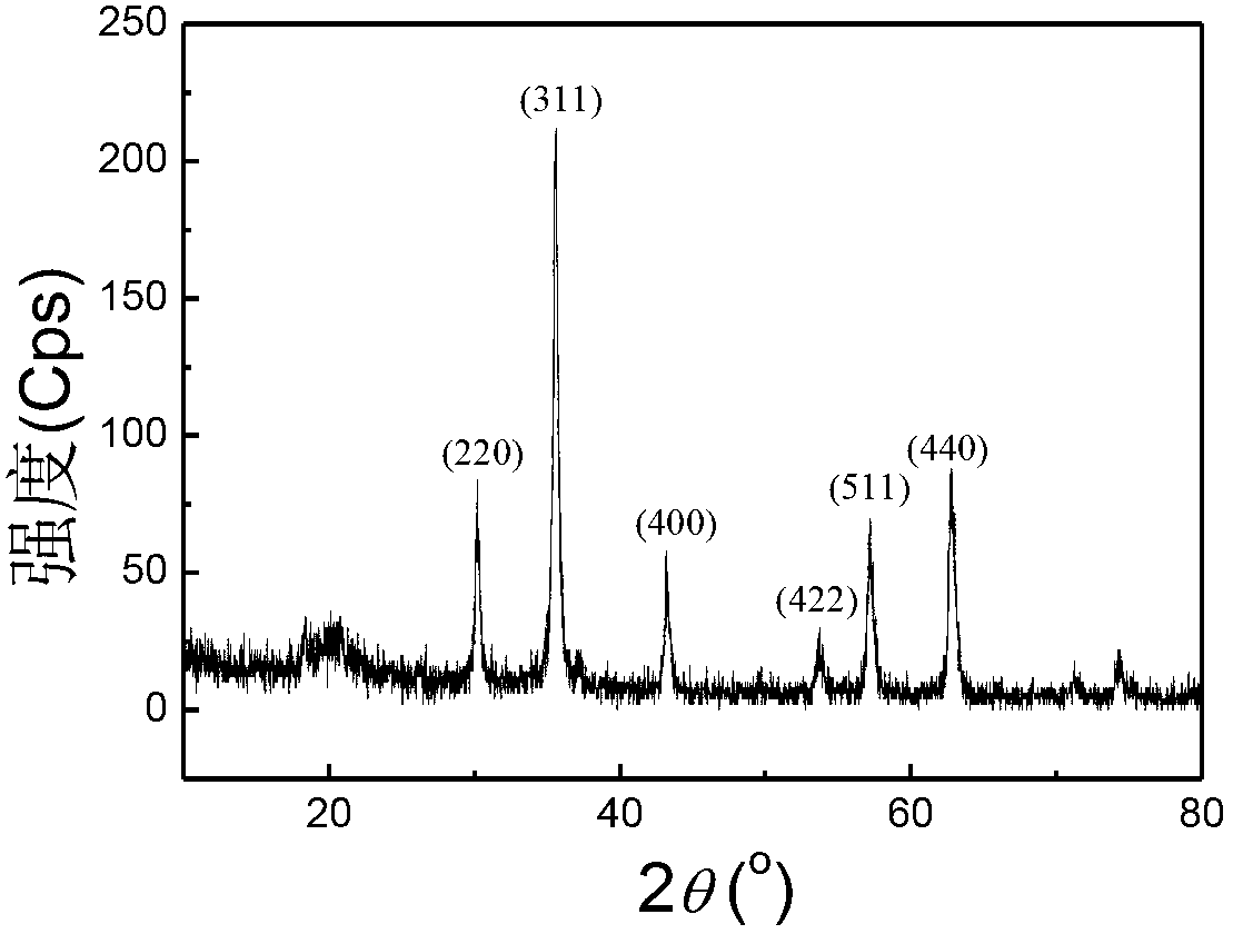 Method for modifying polyester fabric by using magnetic nanometer iron oxide