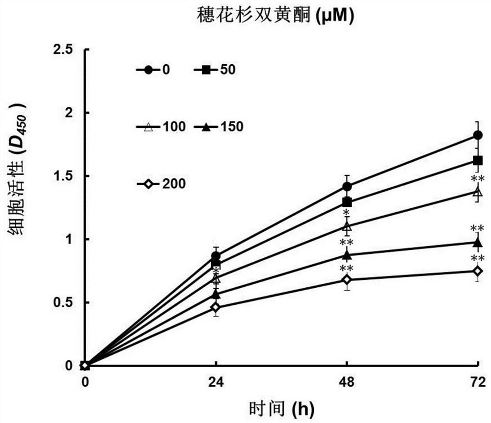 Application of amentoflavone in preparation of drug for treating glioma