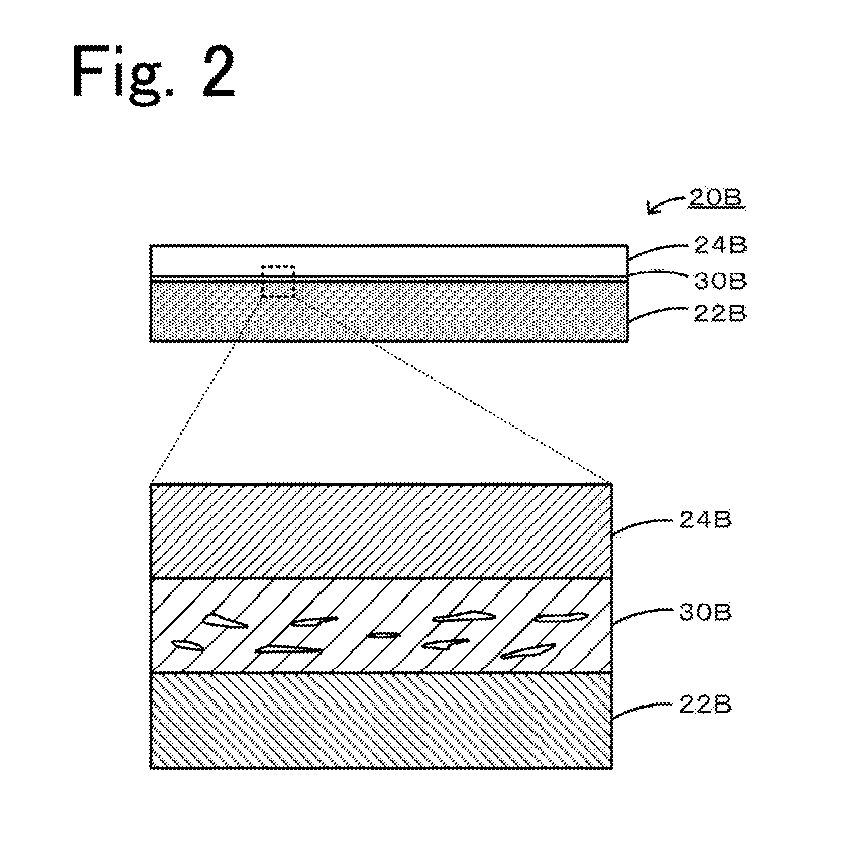 Joined body and method for producing the same