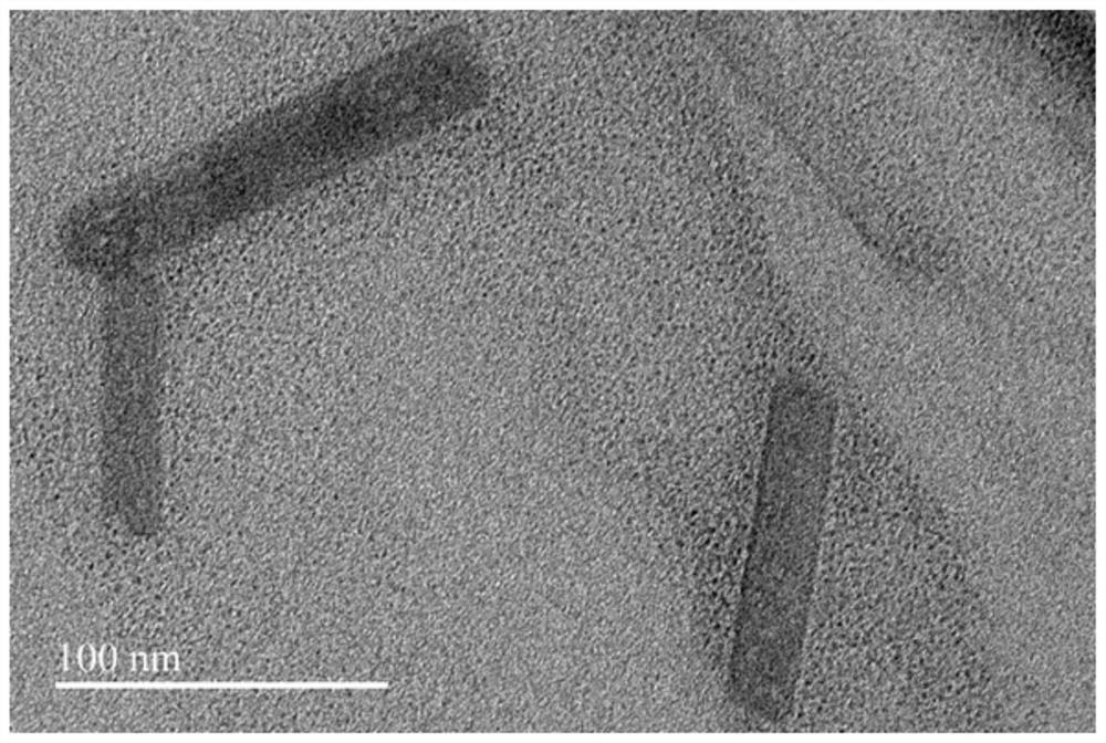 Preparation method and application of a fluorescent probe with controllable hydrophilicity and hydrophobicity