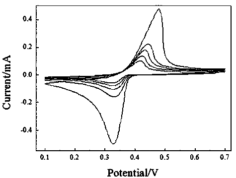 Treatment method of silver electrode for ion chromatography ampere detection