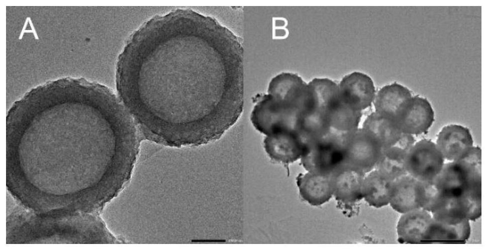 c  <sub>3</sub> no  <sub>4</sub> Nanosphere-supported all-inorganic perovskite cspbbr  <sub>3</sub> Preparation method and its electrochemiluminescent cell sensor