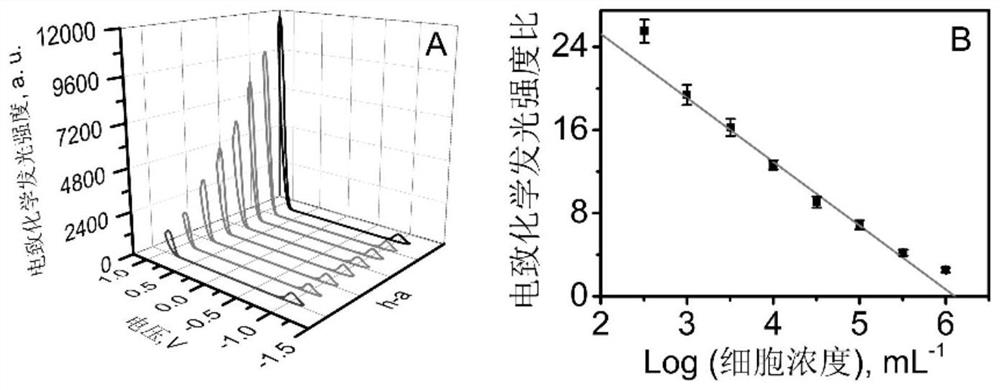 c  <sub>3</sub> no  <sub>4</sub> Nanosphere-supported all-inorganic perovskite cspbbr  <sub>3</sub> Preparation method and its electrochemiluminescent cell sensor