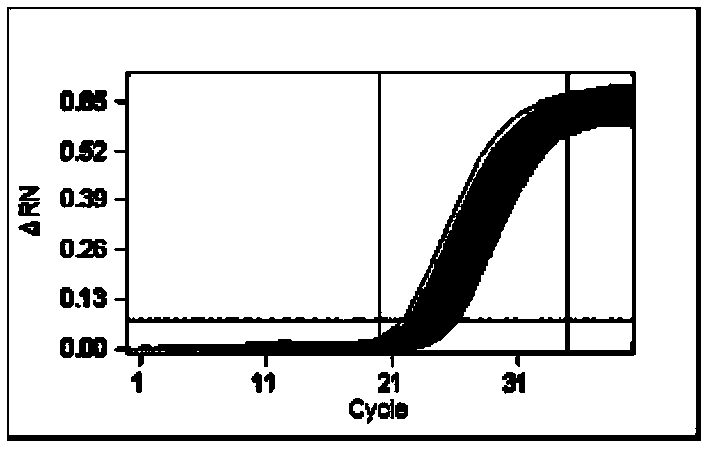 Method for identifying homozygotic type or heterozygous type NK603 on basis of digital PCR (polymerase chain reaction)