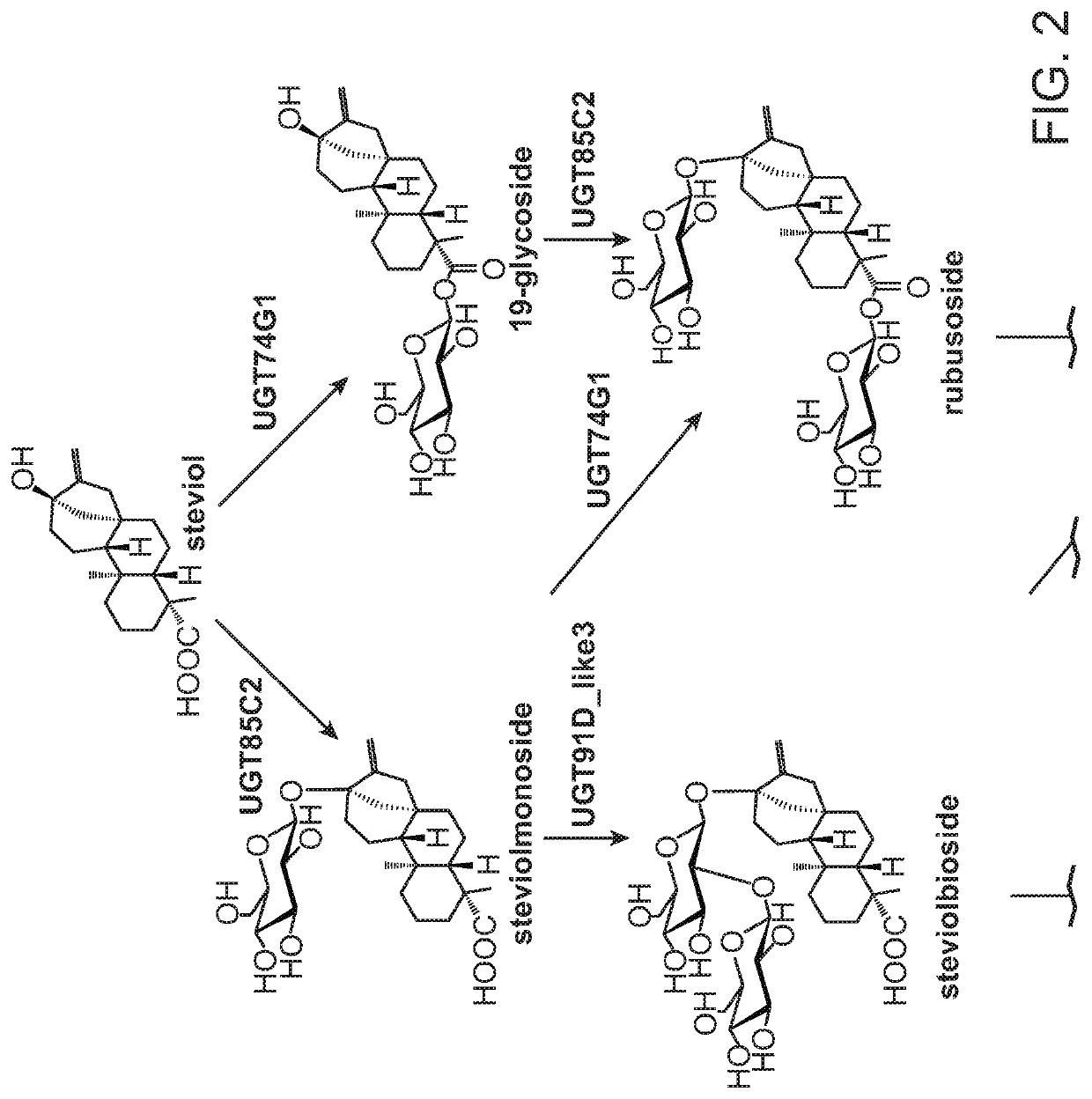 Abc transporters for the high efficiency production of rebaudiosides