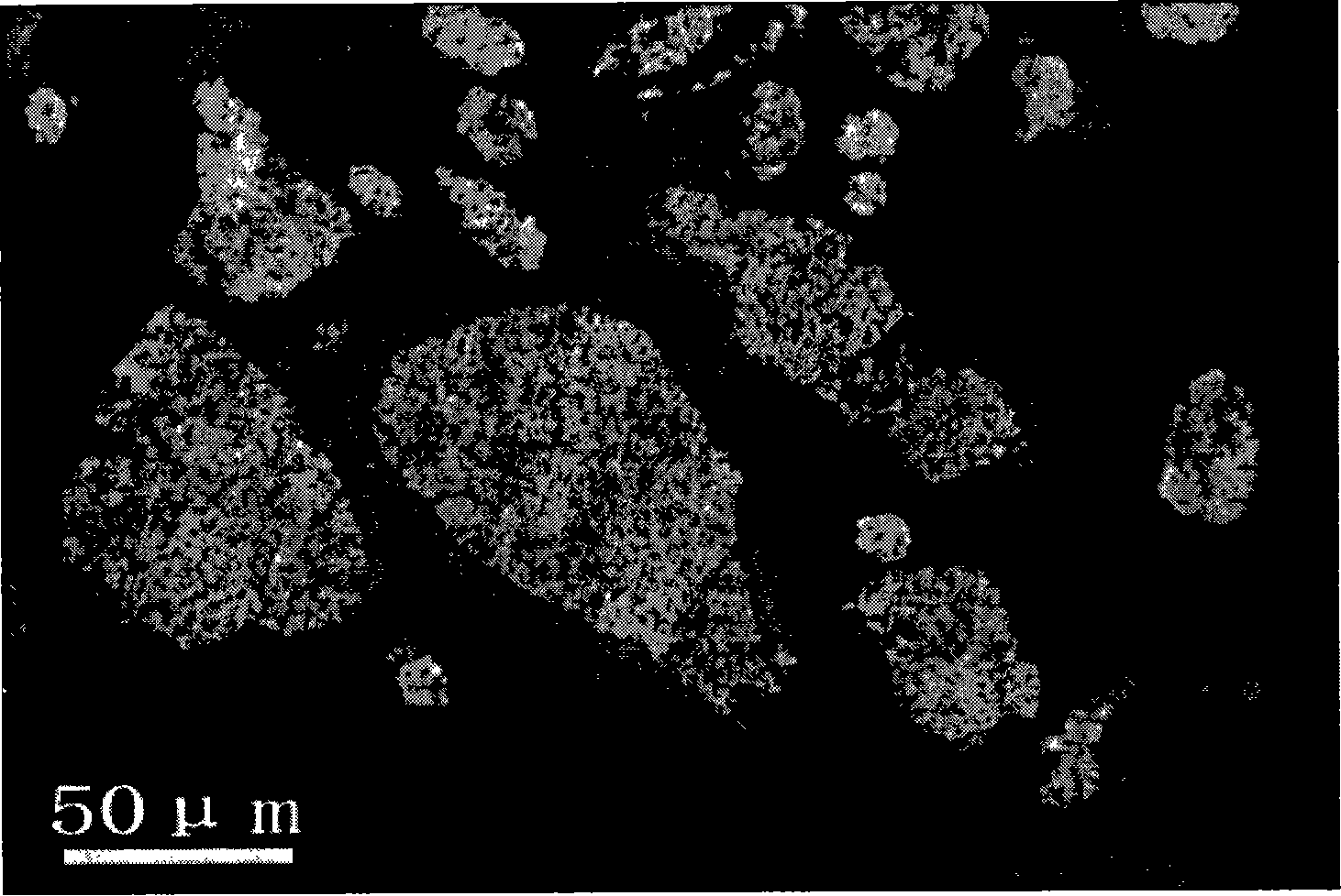 A silver-ZnO electric contact and its making method