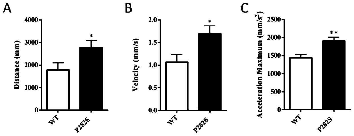 Construction method and application of zebra fish intractable epilepsy model