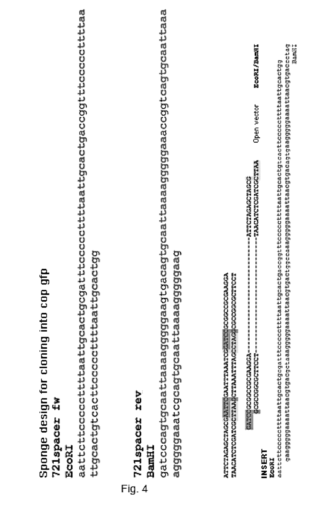 Method for diagnosing cardiomyopathies