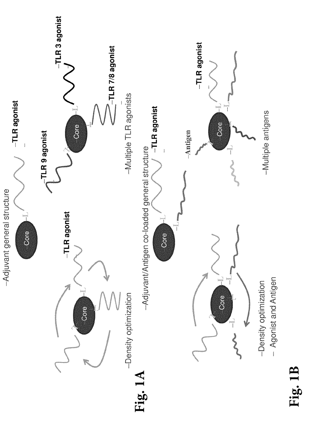 Spherical nucleic acid-based constructs as immunostimulatory agents for prophylactic and therapeutic use