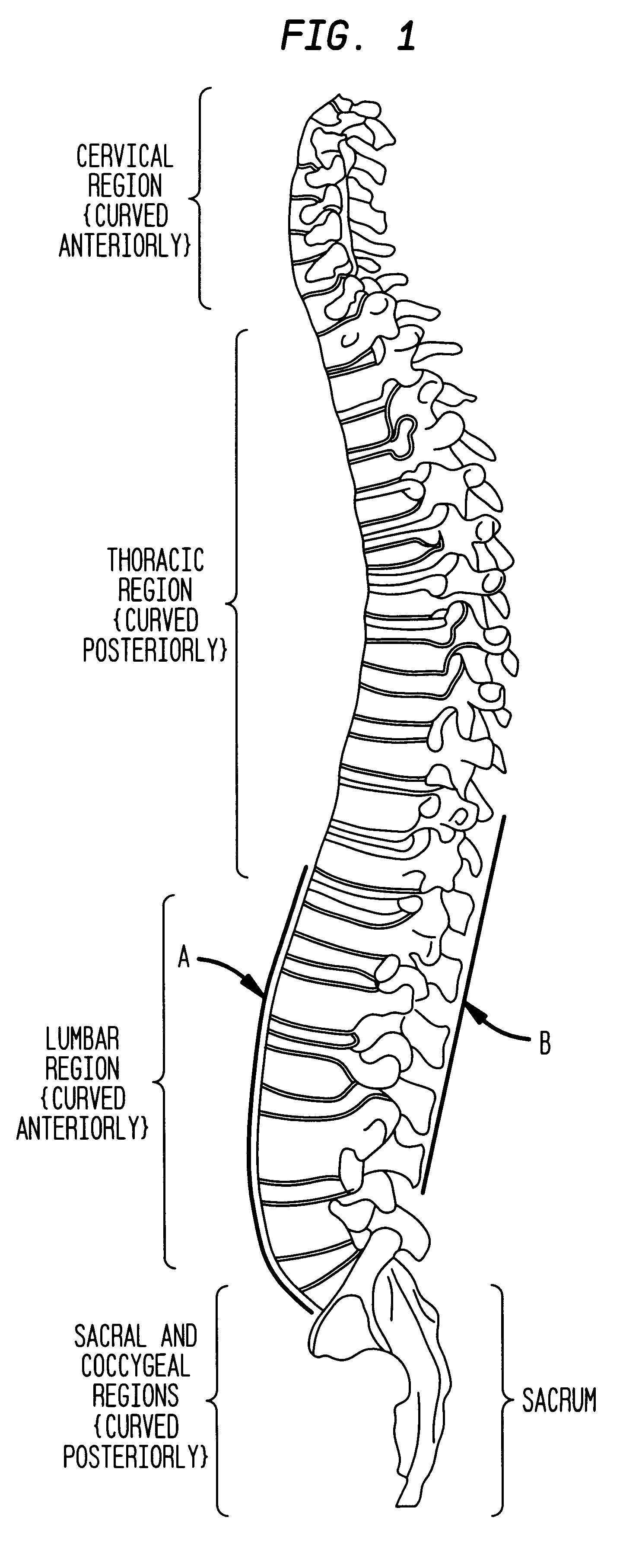 Ergonomically designed chair