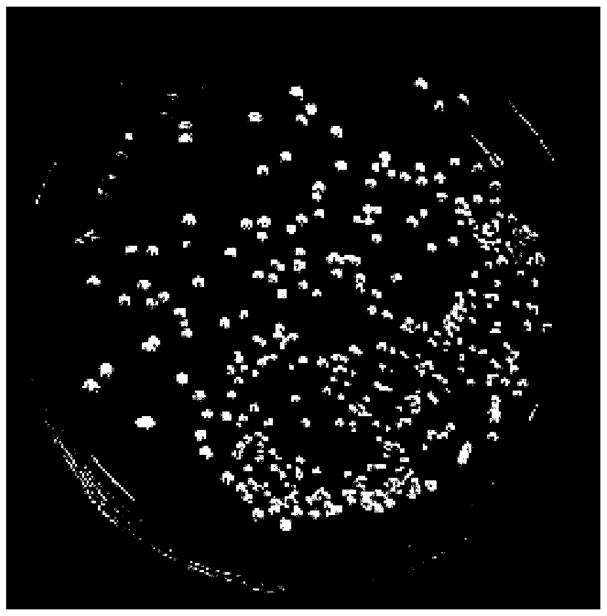 A target colony automatic positioning and identification method