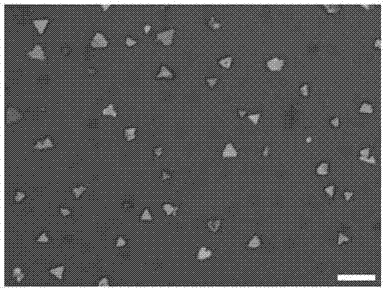 Cuprous iodide two-dimensional material, and preparation and application thereof