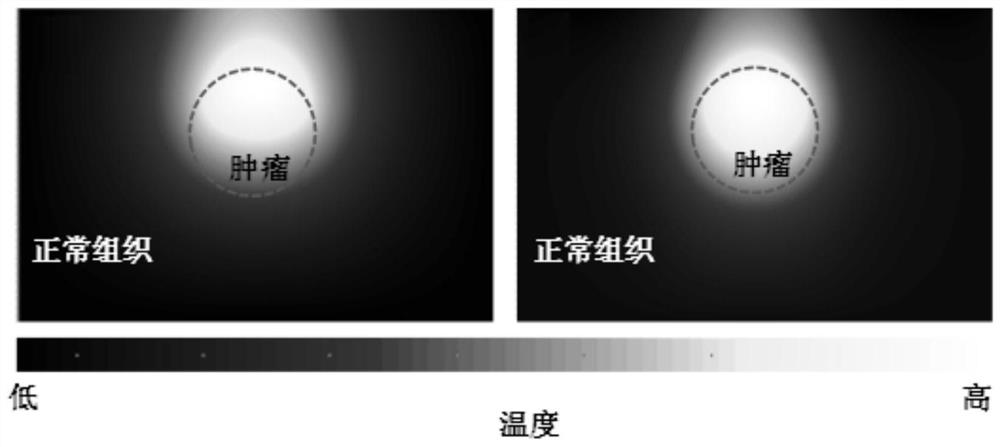 A method for passive regulation of biological tissue temperature field based on optical phase change nanoparticles