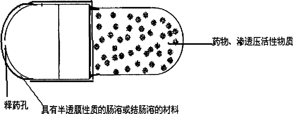 Site-specific osmotic-pump controlled-release capsule shell and preparation method thereof