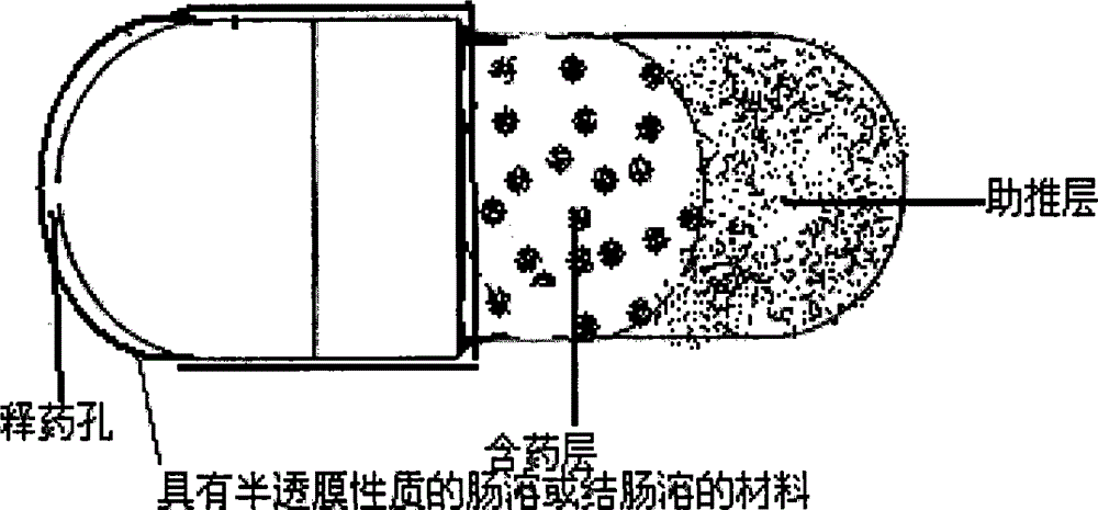 Site-specific osmotic-pump controlled-release capsule shell and preparation method thereof