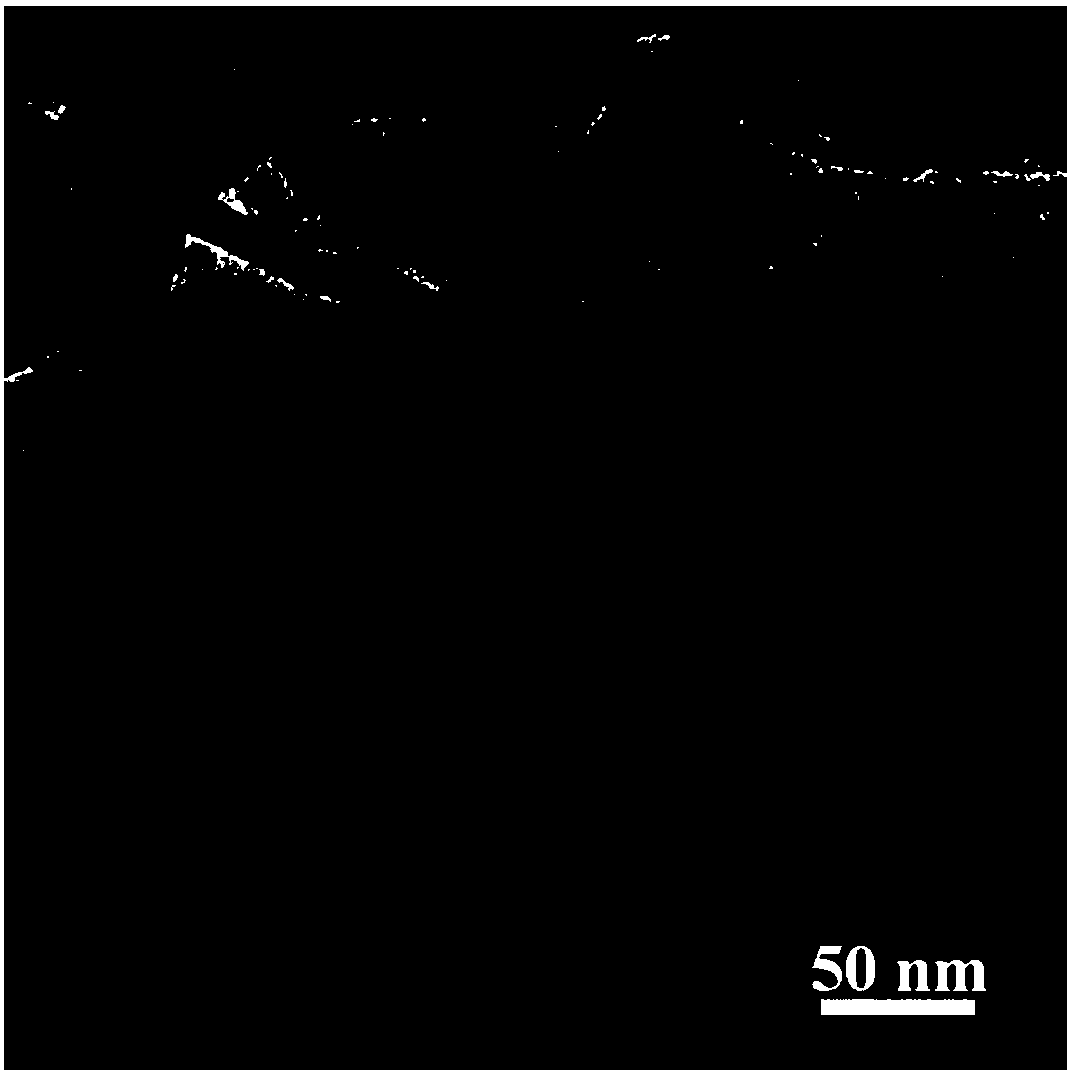 Preparation method of heterojunction photocatalyst for NADH regeneration