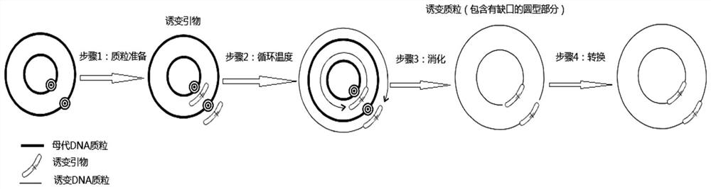 A kind of isoprenoid transferase comq mutant, gene, vector, engineering bacteria and preparation method and application