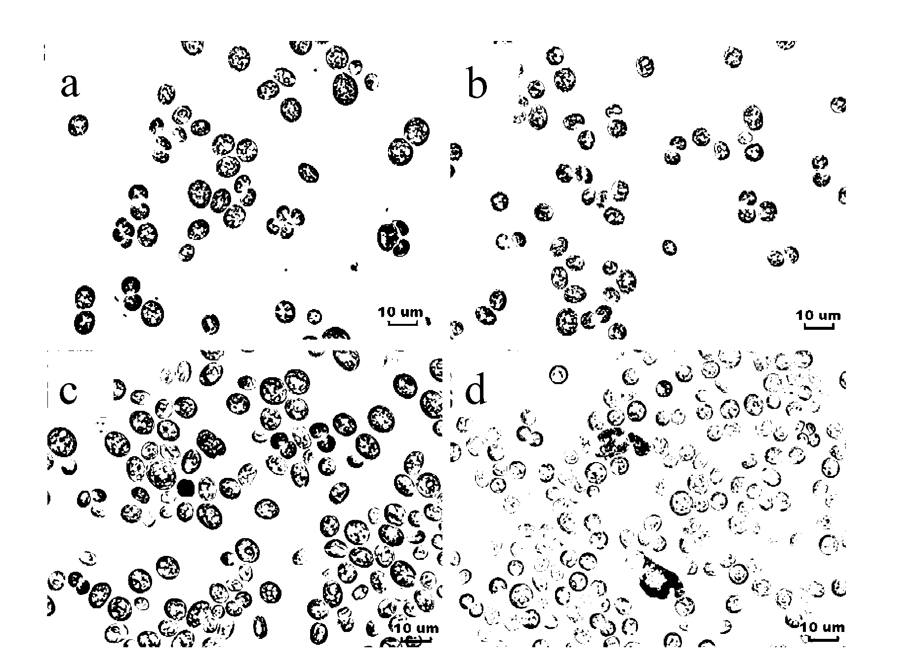 Method for separating microalgae through in-situ flocculation and application thereof