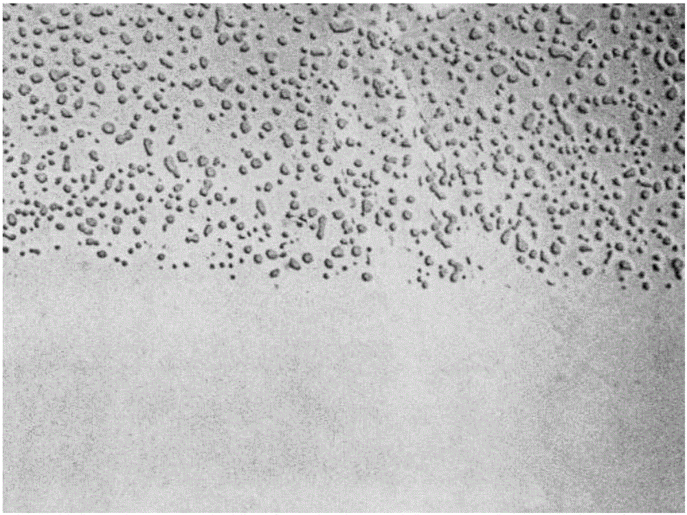 Roller production method and roller produced by using method