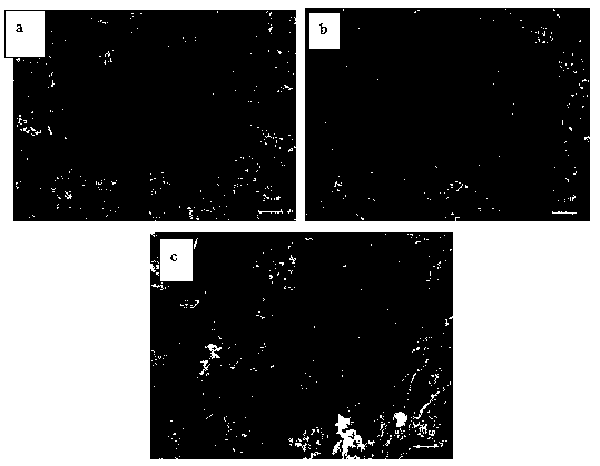 Environment-friendly silver plating process for plating silver on surface of aluminum alloy once