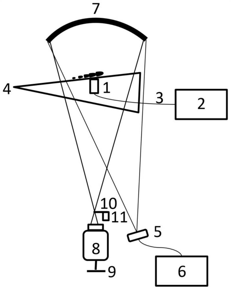 Ultrasonic co-frequency observation device and method for directly displaying second modal waves