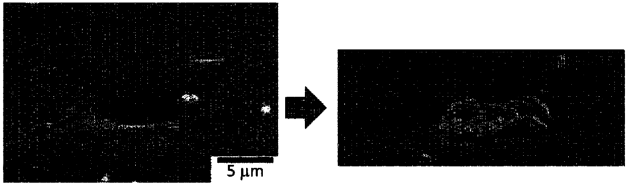 Acidic copper plating solution, acidic copper plated product, and method for producing semiconductor device