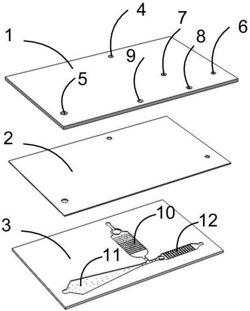 Microfluidic chip for capturing and identifying circulating tumor cells