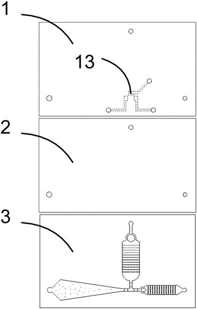 Microfluidic chip for capturing and identifying circulating tumor cells