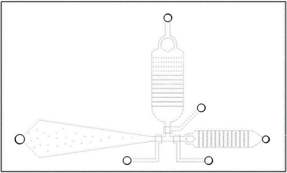 Microfluidic chip for capturing and identifying circulating tumor cells