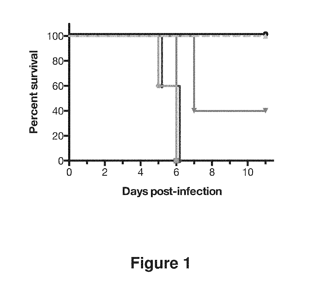 Human antibodies to influenza hemagglutinin