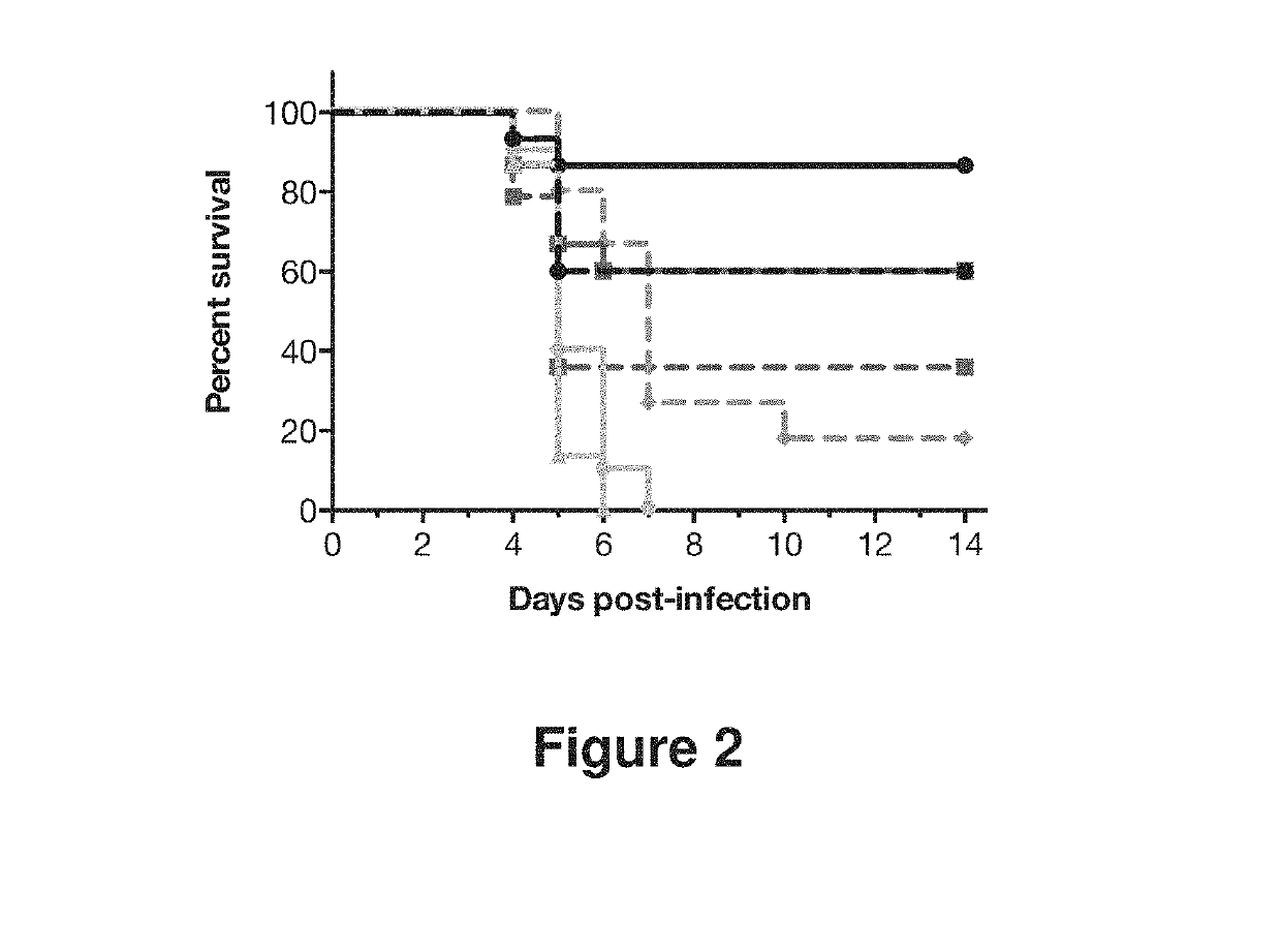 Human antibodies to influenza hemagglutinin