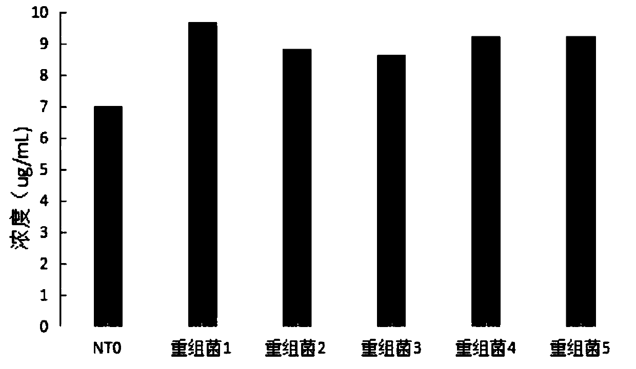 Method for improving IgG1 antibody yield