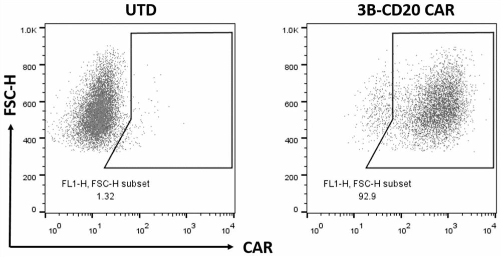 Preparation method and application of CAR-T cell taking HIV-1 gp120 and CD20 as double targets