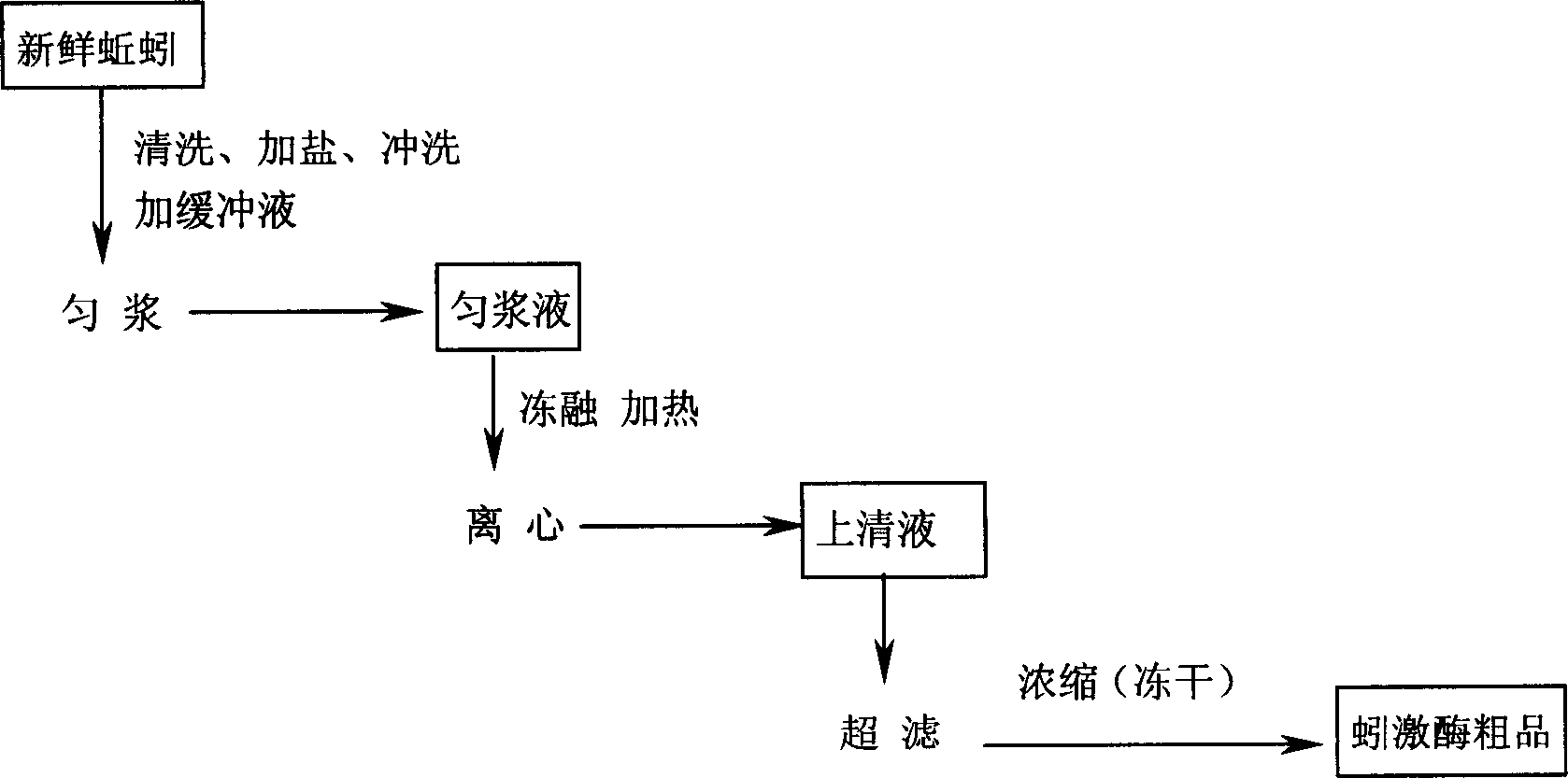 Preparation method for high purity lumbrukinase and pharmaceutical preparation made therefrom