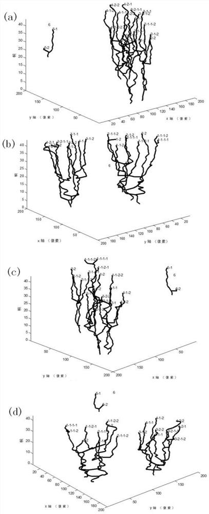 Double-layer multi-Bernoulli random finite ant colony multi-cell tracking method