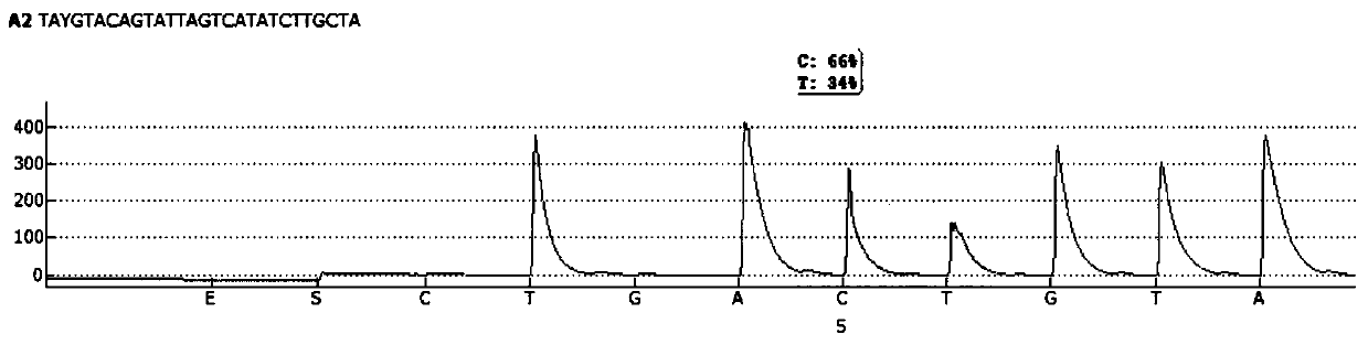 Primer and kit for detecting human low oxygen tolerance related gene polypeptide